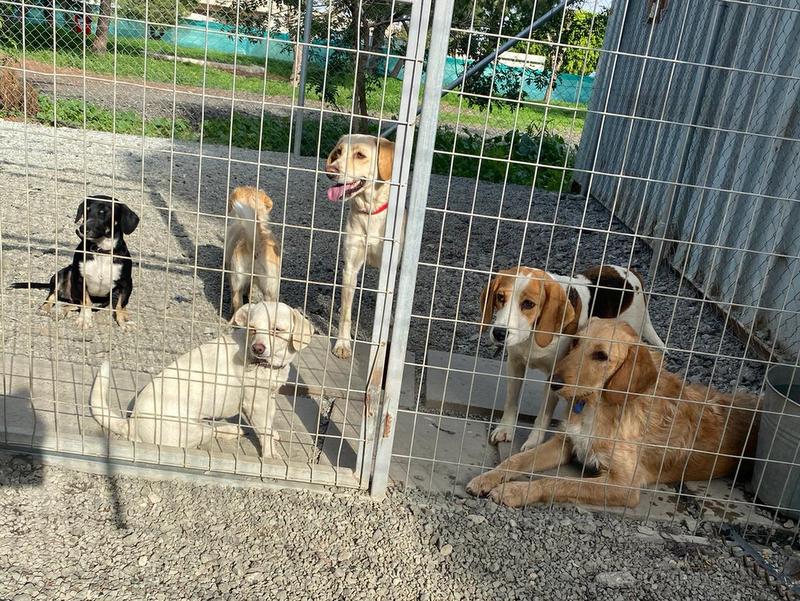 1 PHOTO 2021 01 11 23 54 37