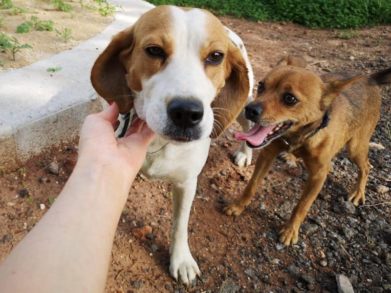 1 PHOTO 2021 01 13 07 56 37