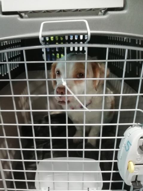 1 IMG 20181209 084701