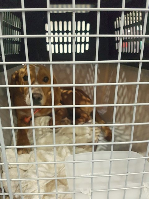 1 27720681 888543094640837 638676849 n