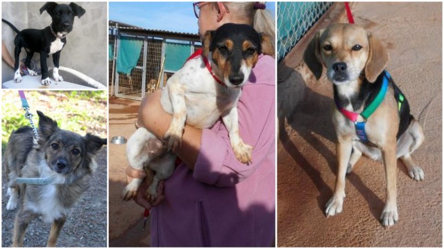 1 ankunft frankfurt 10 01