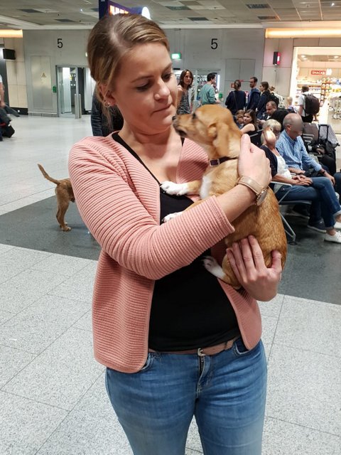 1 PHOTO 2018 10 12 23 46 56