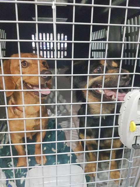 26647911 872890682872745 1876604528 n