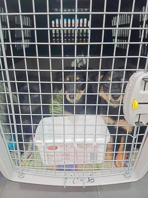 26647956 872890722872741 335396997 n