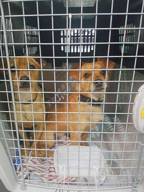 26648604 872890719539408 11560130 n