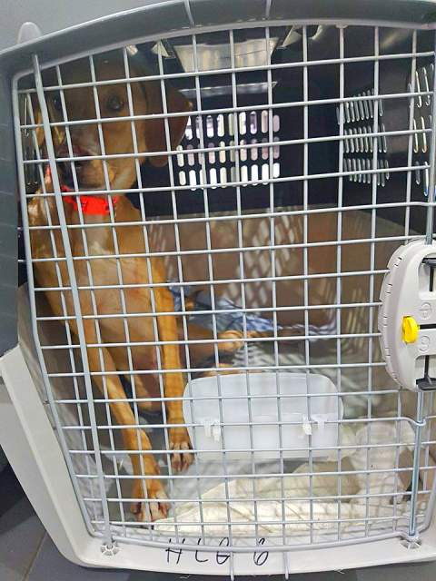 26694089 872890699539410 2035824447 n