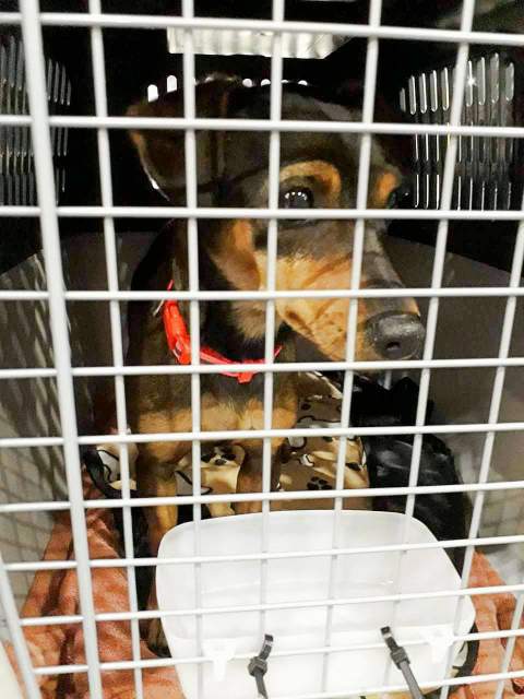 received 1547045085342796