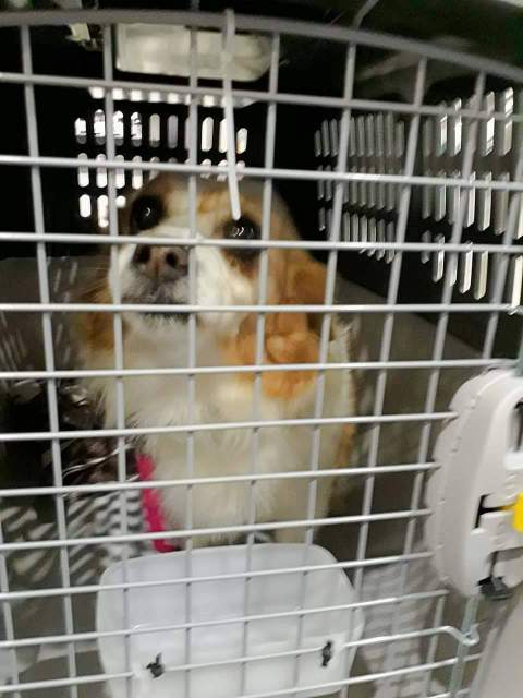 received 1547045095342795