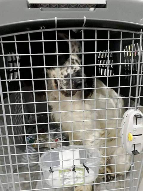 received 1547045105342794