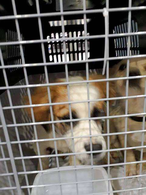 received 1547045112009460