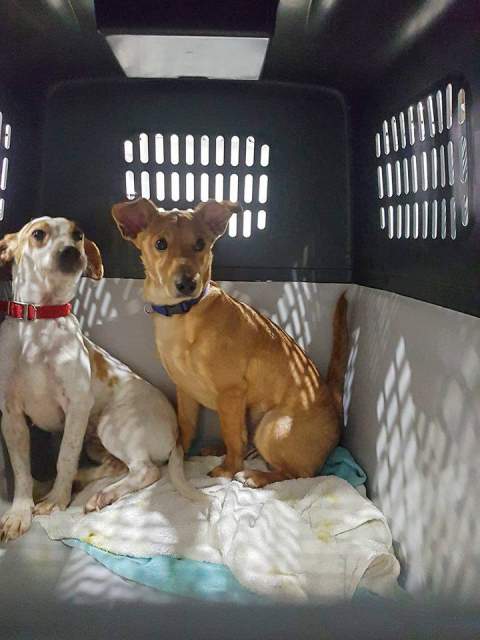 26793954 876350782526735 1414844883 n