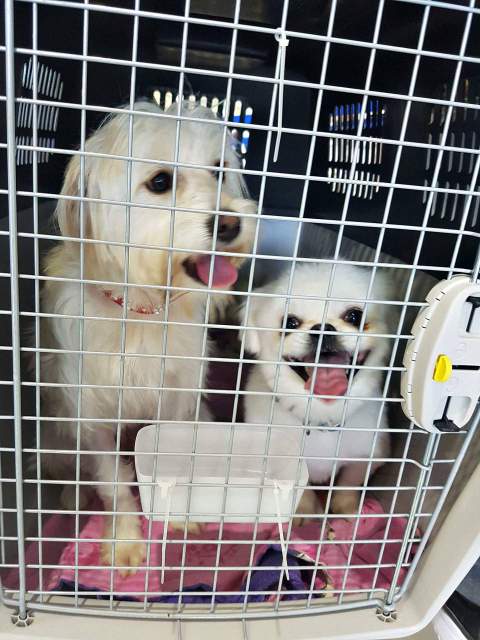 received 876990262462787