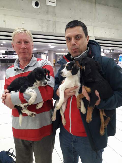 received 1526116657437464