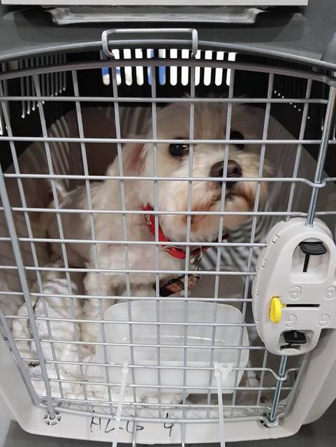 1 34120470 951212605040552 186067191672602624 n