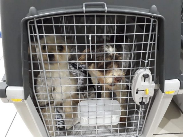 1 IMG 20180602 WA0003