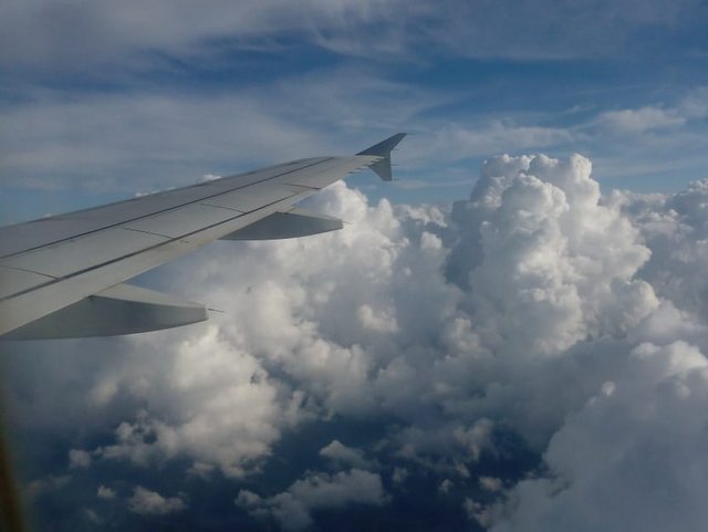 1 PHOTO 2018 06 02 06 27 017