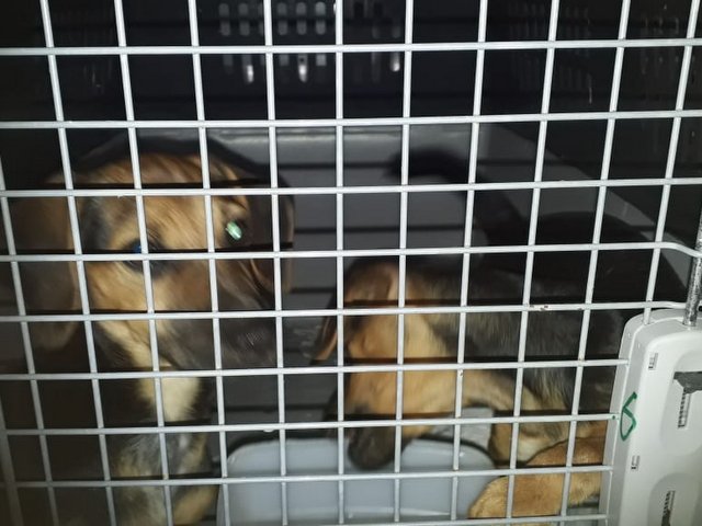 1 IMG 20181102 WA0000