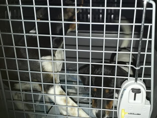 1 IMG 20181102 WA0001