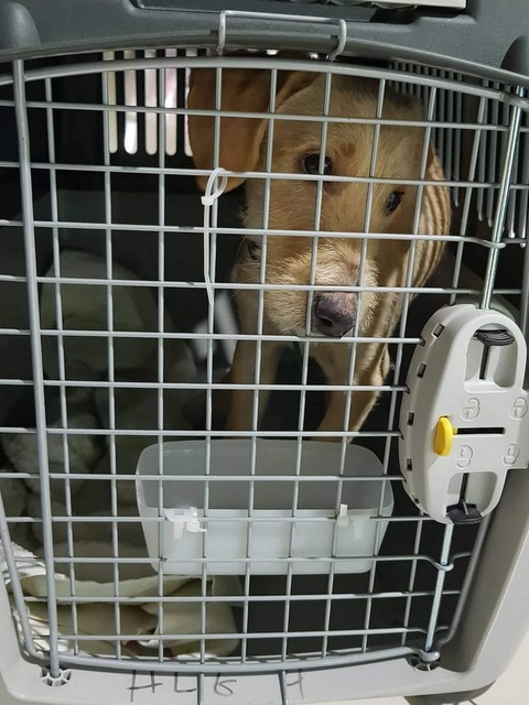 1 cid 166d39258b1921f32231