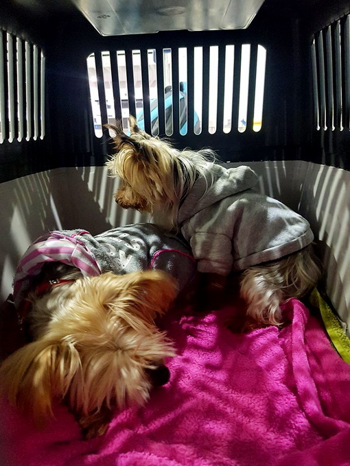 28001539 892474834247663 114296579 n