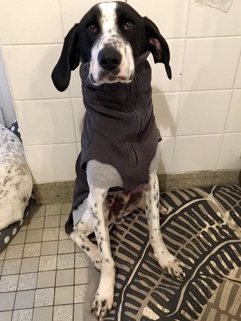 1 2018 02 26 PHOTO 00000003