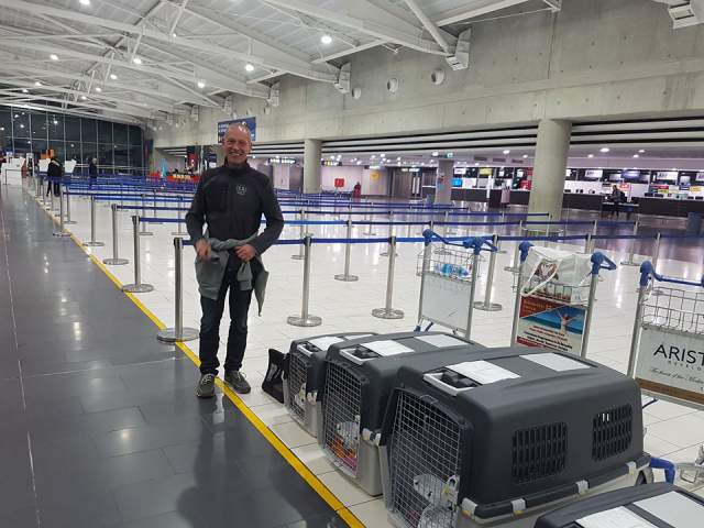 28381175 898683853626761 500263441 n