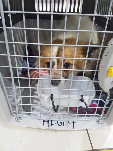 28449833 898683846960095 1761079823 n