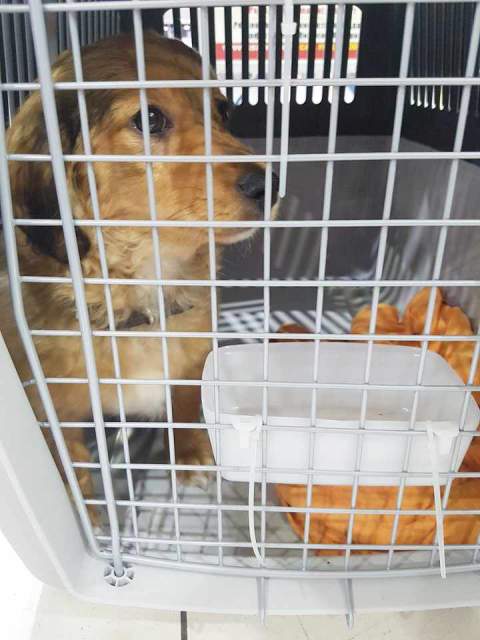 28450380 898683836960096 615173181 n