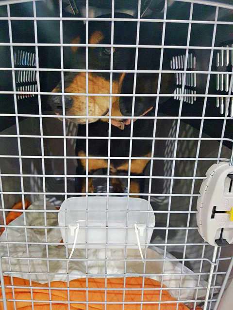 29550711 915961865232293 1013337117 n