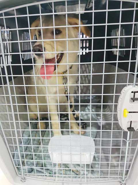 29852565 918279918333821 244280987 n