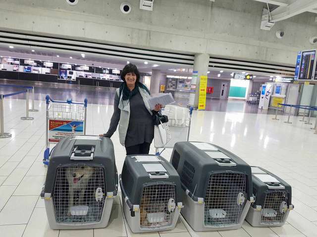 29893994 918282328333580 586284775 o