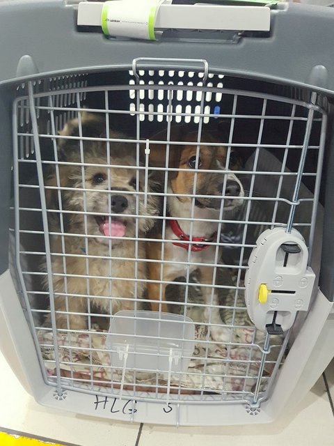 1 27658767 887553208073159 1575950361 n