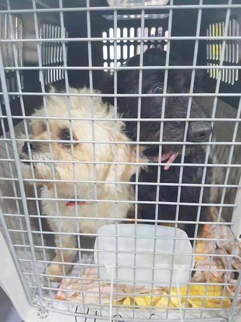 1 26175165 902508003244346 977917366 n