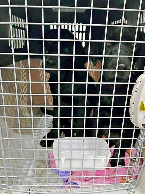 31587829 932827396879073 5693495371557240832 n