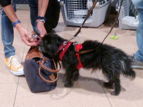 1 2018 05 05 PHOTO 00000020