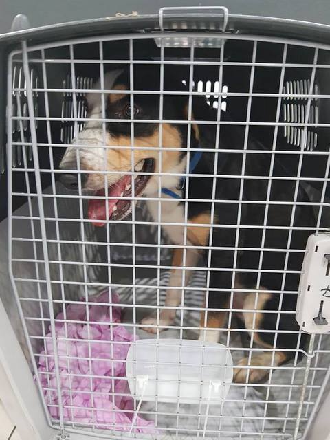 1 36779259 986061741555638 7478820702779342848 n