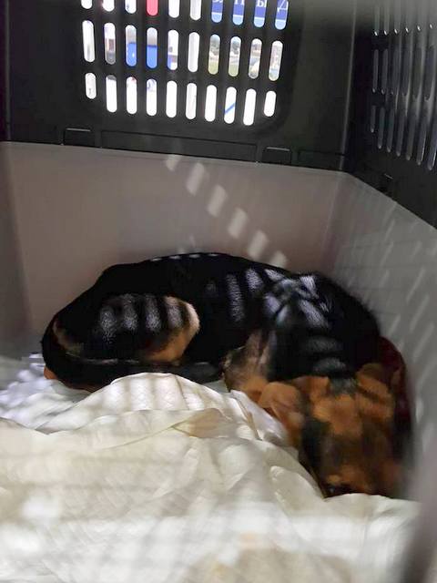 1 41287717 295577754565066 5626903273727328256 n