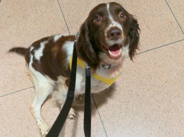 1 IMG 20180908 WA0012