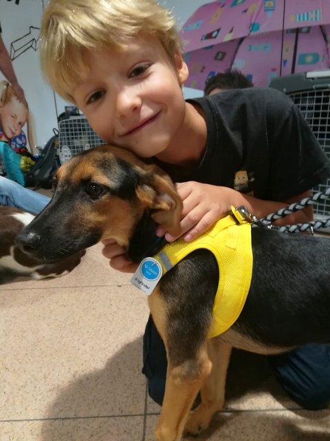 1 IMG 20180908 WA0038