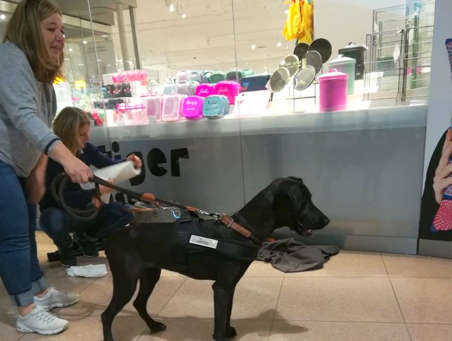 1 IMG 20180908 WA0045