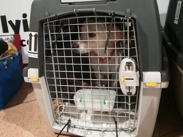 1 IMG 20180908 WA0056