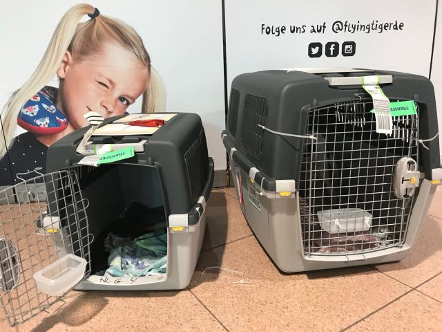 1 2018 05 09 PHOTO 00000039