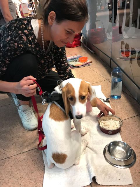 1 2018 05 09 PHOTO 00000045