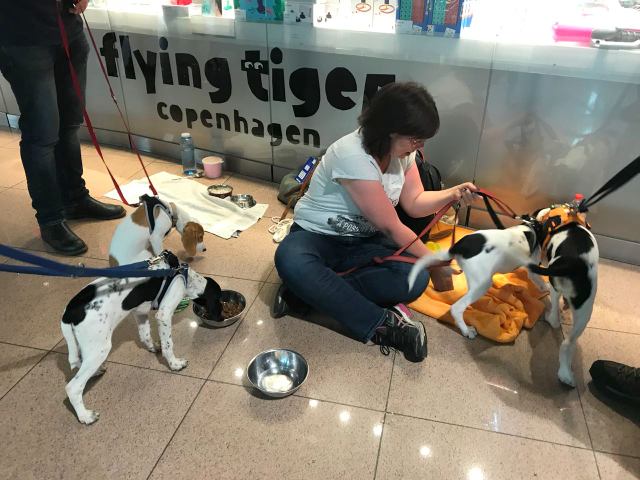 1 2018 05 09 PHOTO 00000052