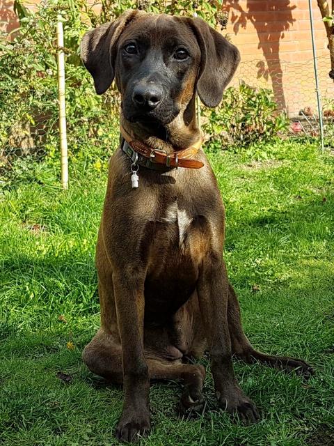 1 11PHOTO 2018 10 08 15 58 24