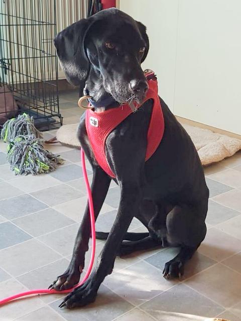 1 PHOTO 2018 10 08 15 57 45