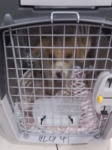 1 20180512 025201 001