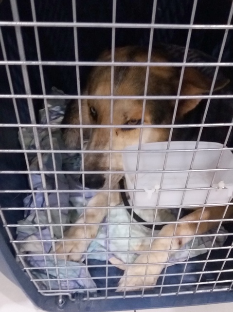 1 20180512 025206 001