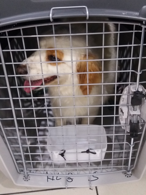 1 20180512 025214 001