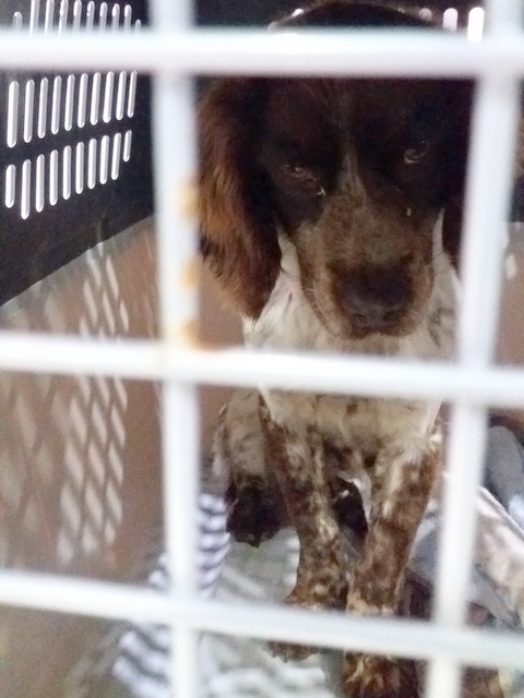 1 20180512 025238 001